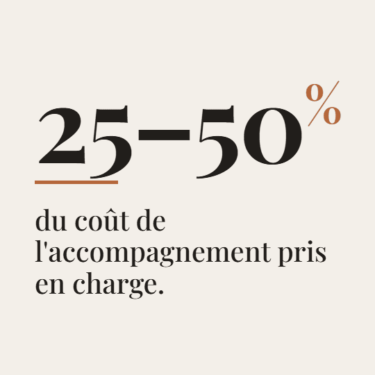 Subventions via les chèques-entreprises